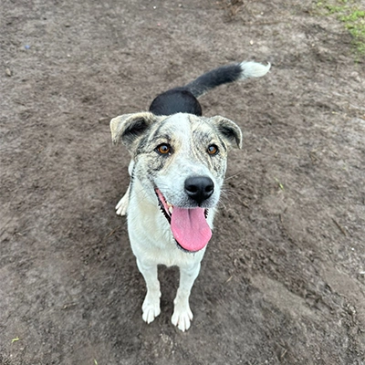 Ellie