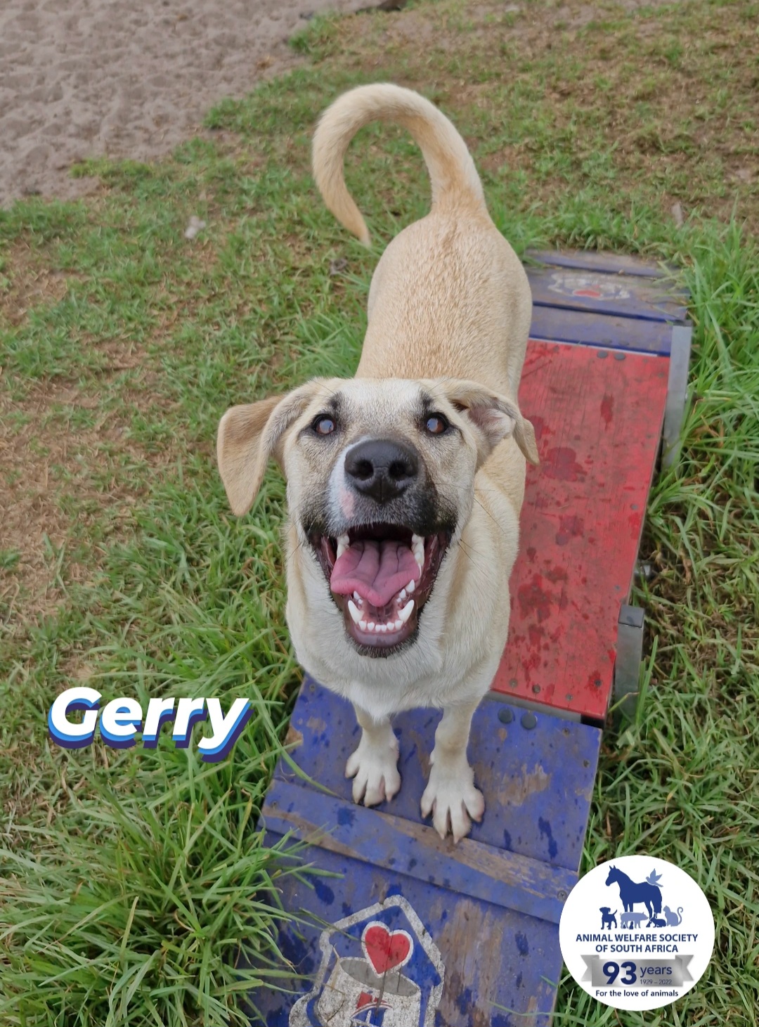 Geri