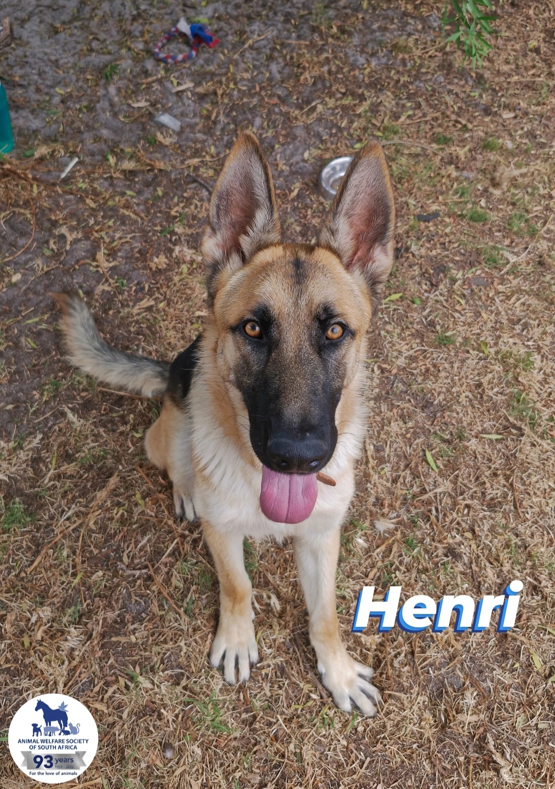 Henri