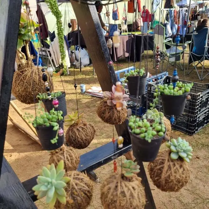Under the Trees Market — Constantia